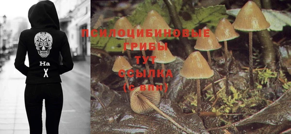 спиды Горнозаводск